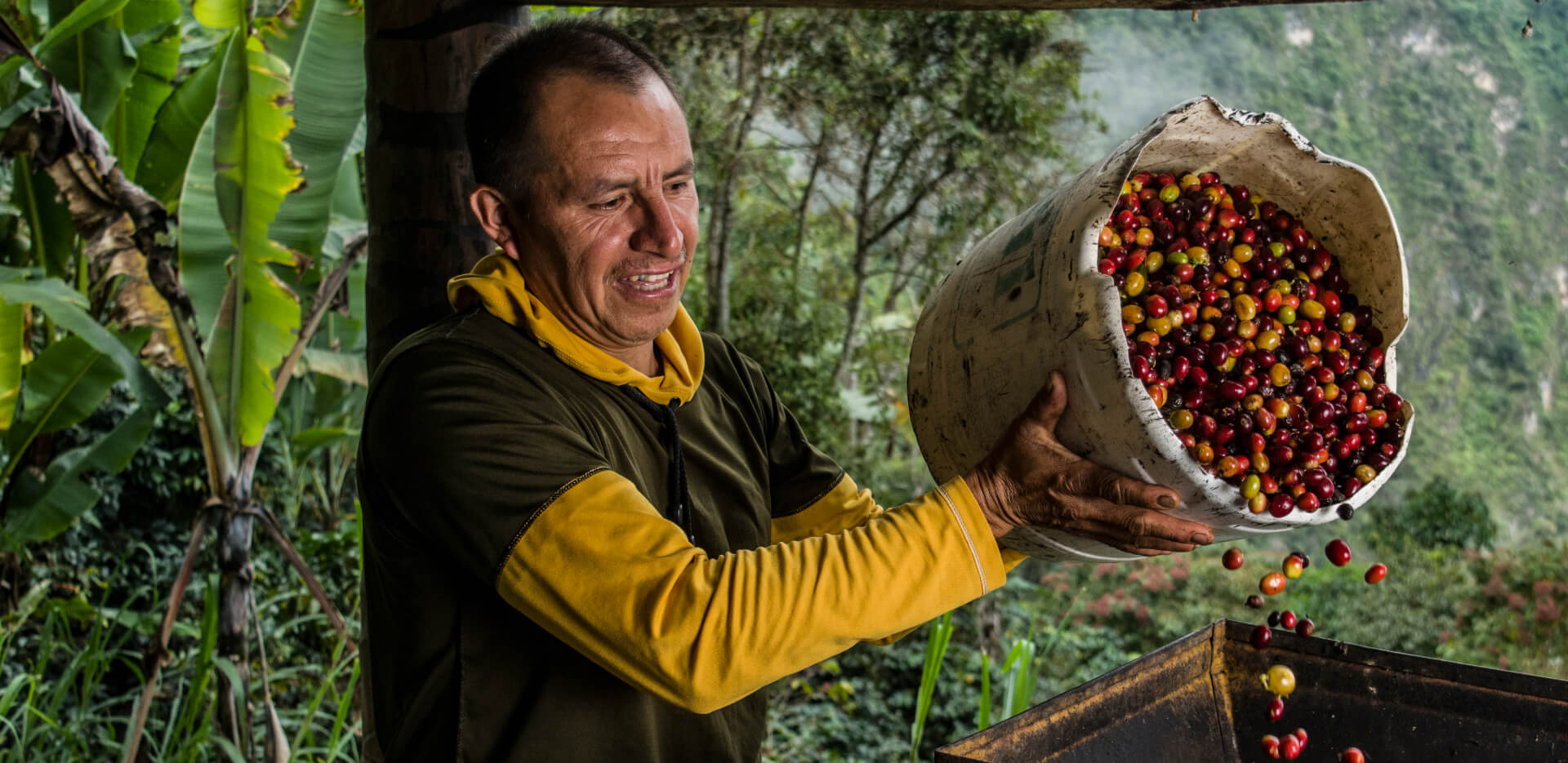 Imagen de fondo Theobroma: Una propuesta de chocolate con “Cacao Colombiano 100% Paz y 0% deforestación”